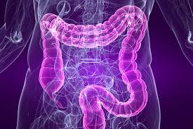  Best Gastroenterology in  Navi Mumbai